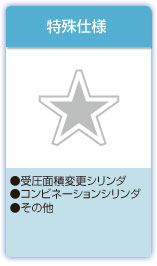 特殊仕様